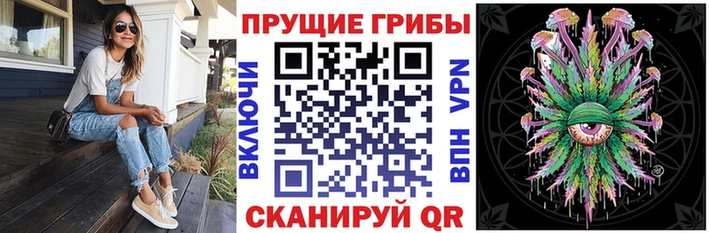 дарк нет формула Печора Галлюциногенные грибы GOLDEN TEACHER mega tor